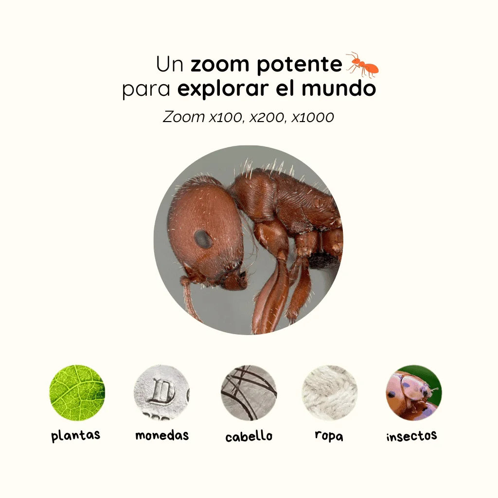Microscopio Portátil Pro