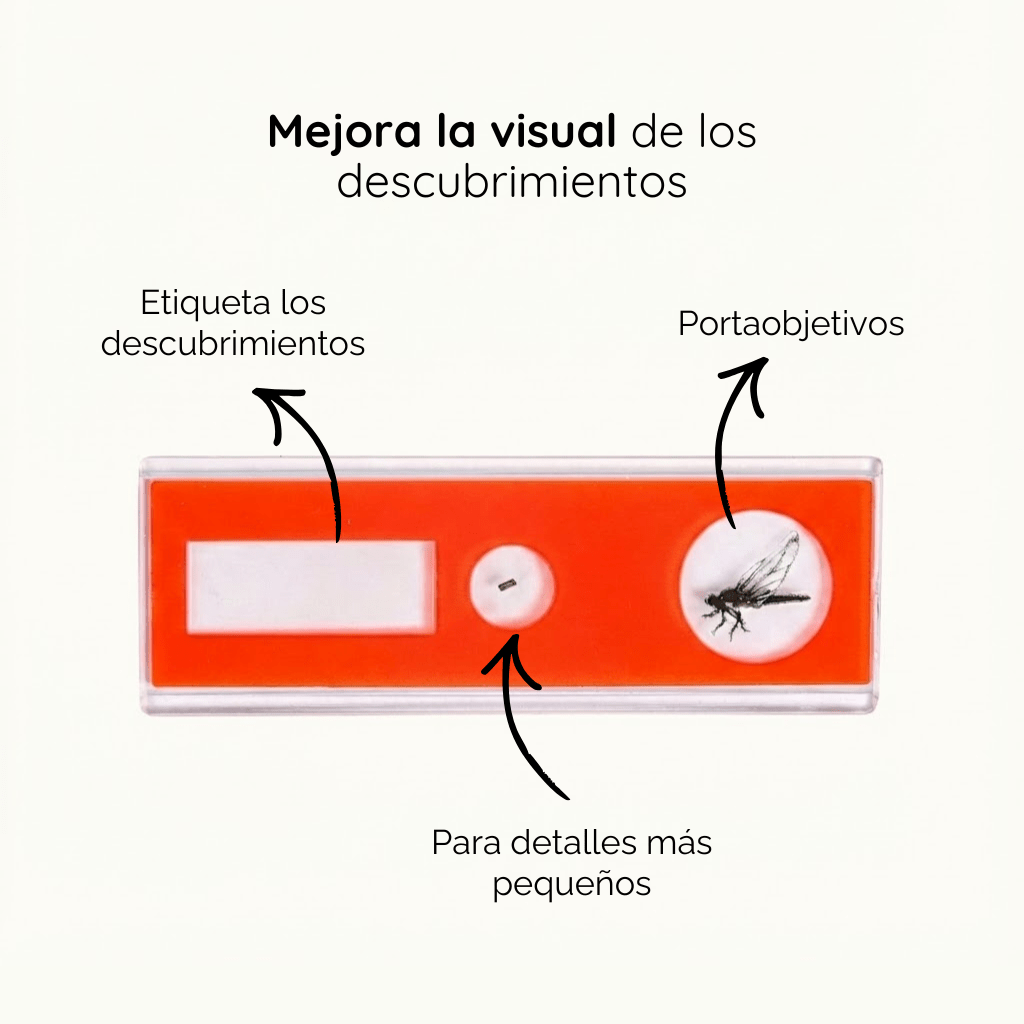 Láminas Portaobjetos para Microscopio - Floha