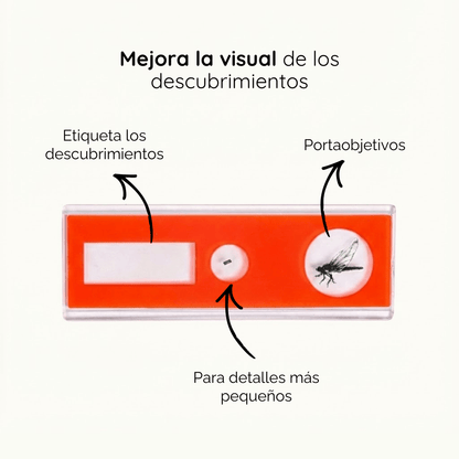 Láminas Portaobjetos para Microscopio - Floha