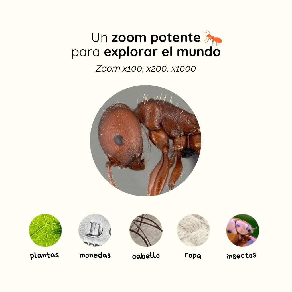 Microscopio Portátil Floha™ - Floha